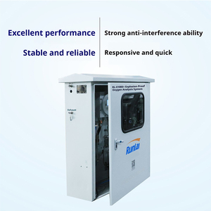 Runlai Intelligent E100Ex Explosion Proof Gas Oxygen Analyzer Customizable O2 Gas Oxygen Detector - Product Image 3