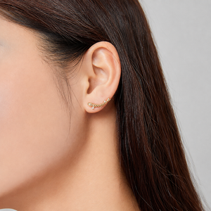 Boucles d'oreilles grimpantes en forme d'arête de poisson, en acier inoxydable plaqué or 18 carats sous vide, pour femmes - Product Image 5