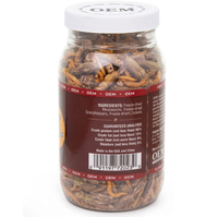 Friandise lyophilisée pour dragon barbu, riche en protéines, avec vers de farine stérilisés, mélange pour reptiles, noir CN