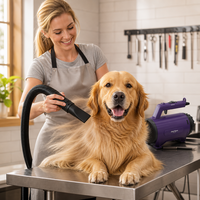 Sèche-cheveux pour animaux Shernbao 1500W, portable, double température, faible bruit, pour la maison, le salon d'animalerie et le detailing automobile