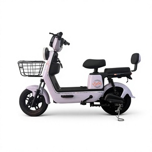 Kit de Ruedas para Bicicleta Eléctrica de 200W, 20 Pulgadas, Usada, 15000 City, 3600 Watts, Dos Asientos, Neumáticos de 500 20, 48V - Product Image 1