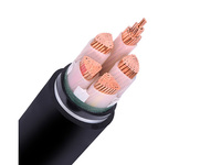 RUITIAN 0,6/1kV Kupfer 1C 35 MM2 50 MM2 120 MM2 CU/XLPE/PVC N2XY-Kabel
