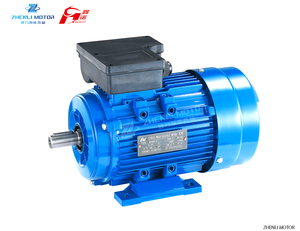 มอ<span class=keywords><strong>เตอร์</strong></span>ไฟฟ้ากระแสสลับเฟสเดียวแบบอะ<span class=keywords><strong>ซิ</strong></span>งโครนัส กำลังไฟ <span class=keywords><strong>1</strong></span>.5 กิโลวัตต์ 2 <span class=keywords><strong>แรง</strong></span>ม้า 220 โวลต์ 2800 รอบต่อนาที โครงอะลูมิเนียม ใช้ตัวเก็บประจุ สำหรับเครื่องอัดอากาศ - Product Image 1