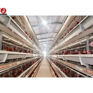 A type H type layer chicken hens cage poultry farm feeder Chicks automatic equipment battery pullet chicken coop house