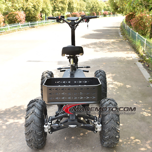 Phía Trước Đôi Đu Cánh Tay Sốc Đình Chỉ Dành Cho Người Lớn Đổ Bộ Điện Động Cơ Không Chổi Than Kit ATV 8000W 4 Bánh - Product Image 2