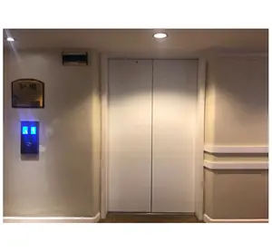 elevator companies in the world cheap residential Passenger elevator price