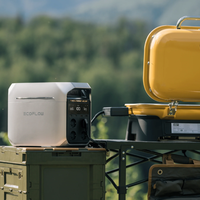 Ecoflow Delta 3 EU UK CN Version 1800W USV Tragbare Powerstation 1kWh Solargenerator Ladestation