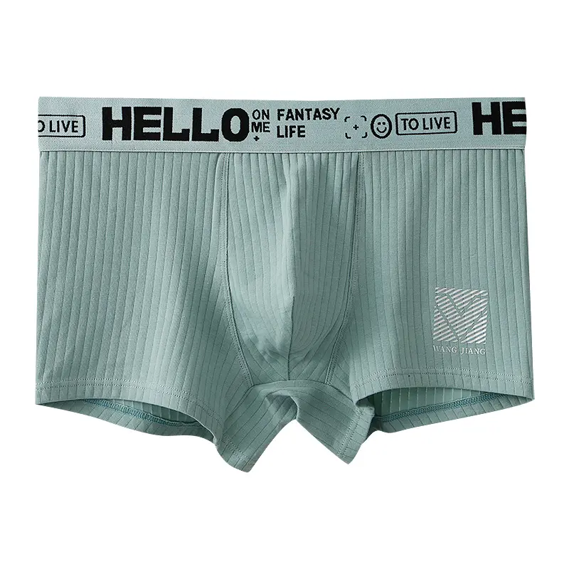 Culotte tanga chinoise en polyester pour hommes, culotte tanga sexy, de grande taille, sous-vêtements moulants,