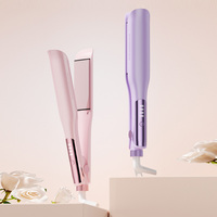 Lisseur à cheveux en céramique professionnel pour femmes Portable avec logo personnalisé pour salon ou usage domestique Source d'alimentation électrique