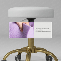 Madamcenter Chaise de travail ergonomique esthétique à roulettes Tabouret cosmétique pour dentiste Bureau Coiffeur Chaise de selle pliable
