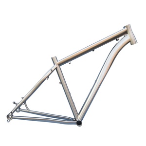 Hiếm gr9 3AL/2.5V 29 "sỏi Titan bánh răng khung xe đạp cho bánh răng <span class=keywords><strong>p1.18</strong></span> hệ thống hộp số để Bán thiết kế đặc biệt - Product Image 3