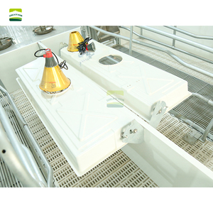 Cage de maternité double pour truies, galvanisée à chaud, de type européen, 3,6 x 2,4 m |   Lit de maternité pour truies, cage de gestation pour élevage porcin - Product Image 5