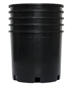 Vente en gros 2026 Pots de pépinière en plastique noir modernes de 1 gallon pour semis de plantes succulentes, boutures et transplantation - Product Image 4