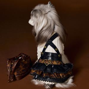 <span class=keywords><strong>2026</strong></span> Sonbahar Kış Modası Köpek Evcil Hayvanı Yakışıklı Deri Etek Elbise - Product Image 2