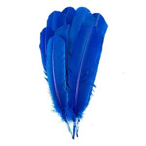 Commercio all'ingrosso 10-12 pollici colori tinti bianchi turchia tondi ala <span class=keywords><strong>piume</strong></span> d'oca <span class=keywords><strong>di</strong></span> tacchino per Bouquet maschera floreale tiare costumi - Product Image 6