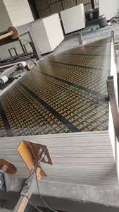 דיקט ציפוי סרט איכותי פרימיום 4*8 רגל 1220*2440*18 מ\\\"מ/17 מ\\\"מ/15 מ\\\"מ גודל מותאם אישית דבק WBP ליבת צפצפה עמיד בפני לחות E1 - Product Image 5