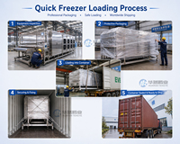 300kg/u Individuele Snelvriezer IQF Vloeibaarbedvriezer 0,3T/u Snelvriesmachine voor kleine deeltjes voedselverwerking