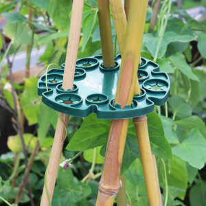 Supports pour plantes grimpantes en plastique PP vert foncé pour plantes en pot et légumes grimpants - Product Image 3