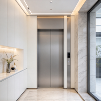 Ascenseur domestique sans fosse, faible hauteur de plafond, compact, pour maison existante, installation facile, plan de travail