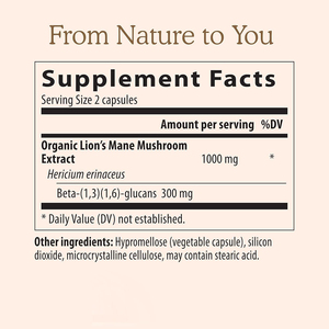 10 in 1 Lions Mane Supplement Reishi Lions Mane Mushroom Extract Capsules Lions Mane Mushroom Powder herbal supplements - Product Image 3