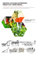 Unidad Móvil de Procesamiento de Raíces, Línea de Procesamiento de Vegetales en Contenedor, Línea de Producción para el Procesamiento de Raíces y Tubérculos