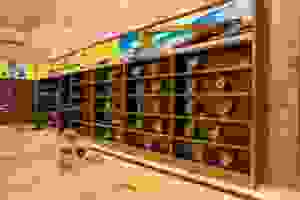 デルコ・レミー 40MT スターター 3529848 3628547 3000576 3004699 3004700 3010125 3017393 3063771 3065357 10478863 10478865 10478866用 - Product Image 6