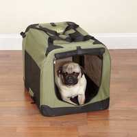 Modèle solide Mini Pet Carriers Pliant Cage pour chien Caisse avec bouton pression Type de fermeture