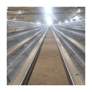 Cage à poules en plastique galvanisé à chaud, type antirouille, système automatisé, fermes avicoles, marque <span class=keywords><strong>TBB</strong></span>, disponible immédiatement - Product Image 4