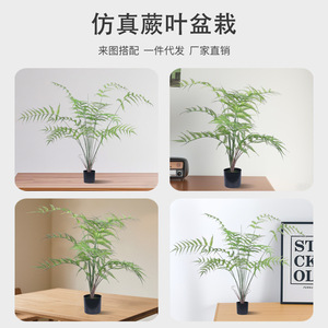 Planta Artificial de Helecho Bonsái Dream Castle, Decoración Interior de Plástico PU, Tamaño Pequeño - Product Image 5