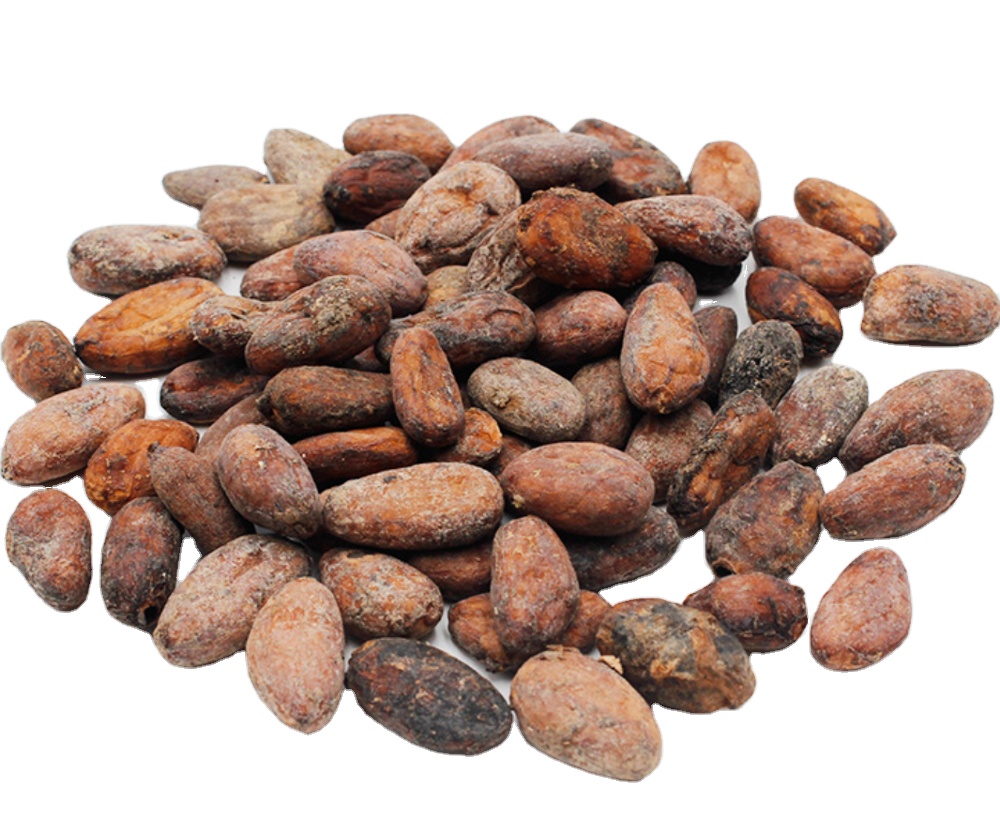 Cuocere il materiale naturale prezzo all'ingrosso fave di cacao crude essiccate in vendita