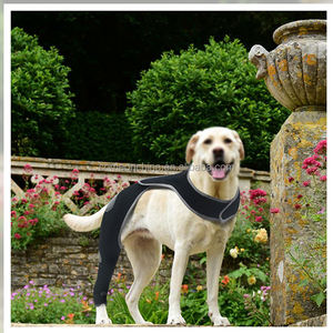 ปลอกป้องกันขาสำหรับสุนัขไม่ให้เลียป้องกันขาหลังสายรัดขาหลังหลังสำหรับการบาดเจ็บของสัตว์เลี้ยงที่แขนพักฟื้น - Product Image 5