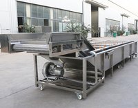 Automatische zoete aardappel ui tomaat reinigingsmachine fruit groente luchtbel wasmachine