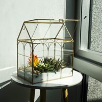 Kit de terrarium pour orchidées, succulentes et cactus d'intérieur, grand terrarium en verre pour plantes hautes, serre en verre avec couvercle