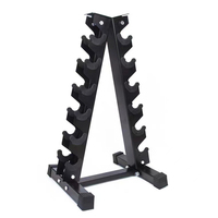 Équipement de fitness, musculation, design en acier, solide, sûr, durable, rangement pour salle de sport à domicile, portable, support pour haltères triangulaires 6 paires