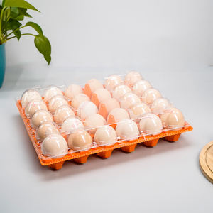 Shengyiyuan 30 отверстий с красным дном и прозрачной крышкой одноразовый блайзер для яиц прозрачный пластиковый лоток для яиц - Product Image 3