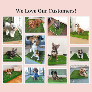 Tapis d'apprentissage <span class=keywords><strong>de</strong></span> la propreté pour animaux <span class=keywords><strong>de</strong></span> compagnie en <span class=keywords><strong>herbe</strong></span> synthétique réaliste, lavable et réutilisable, 24 pouces, pour <span class=keywords><strong>l</strong></span>'intérieur et <span class=keywords><strong>l</strong></span>'extérieur - Product Image 5