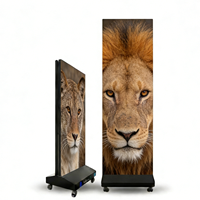Schermo LED Pieghevole 640*1920mm per Interni ed Esterni, Portatile, HDR10, IP65 Impermeabile, Luminosità 1000cd, Adobe RGB 98%