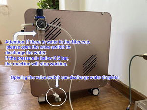 Generador de Hidrógeno, Sistema Electrolítico AEM/PEM, Máquina de Agua Rica en Hidrógeno, Generador de Electricidad con Celdas de Combustible, Producción de H2 - Product Image 3