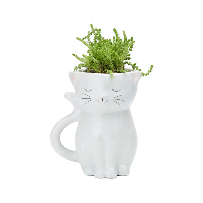 Chinese Decorative Cat Shape Long Ceramic Rattan Stands Flower Pot Maker