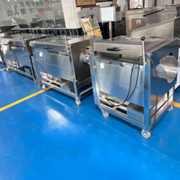 Wortelgroente Fruit Motor Borstel Was Schil Schilmes Roller Reiniger Machine Aardappel Gember Cassave Wasmachine Mini Hoogwaardig