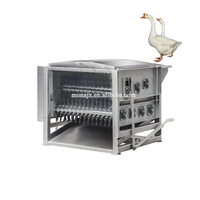 Machine d'abattage de volailles Machine automatique de cueillette et d'échaudage de poulet de petite capacité