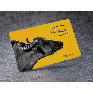 Carta Regalo Costanzo in Plastica Personalizzata con Stampa Digitale per Uso Promozionale - Product Image 1