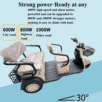 Mini tricycle électrique 1000W pour adultes, 3 places, 3 roues, tout-terrain, scooter de mobilité ouvert pour le tourisme et le transport