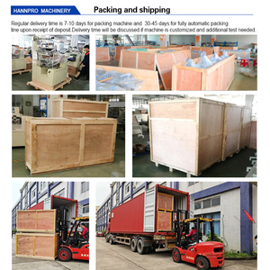 Wanordelijke Zakjes Sorteermachine + Tel-En Verzamelmachine + Kartonnering Machine Kartonnering Verpakking - Product Image 5