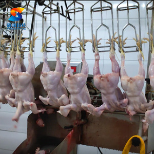 Línea de Sacrificio de Aves de Corral para 1000 Aves, Línea de Sacrificio de Pollos Pequeños - Product Image 4