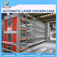 Vente en gros de cages automatiques pour poules pondeuses, équipement d'élevage avicole, vente directe d'usine, 90-160 oiseaux par cage, personnalisable