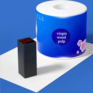 Costom marques noms doré pom kol <span class=keywords><strong>andrex</strong></span> camco hakle centrepull rouge 2ply 32 pack rouleau de papier toilette paquet longue bobine - Product Image 4