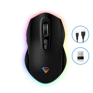 Bán Buôn Chuột Chơi Game Máy Tính Led Công Thái Học, Chuột Quang Chơi Game Không Dây Chuyên Nghiệp 2.4G Rgb Có Đèn Led