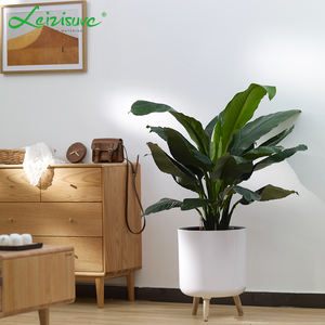 זול לבן גדול משקה עצמי גדול לגינון עזרי פרחים עם רגלי עץ קטן בינוני גדול - Product Image 4