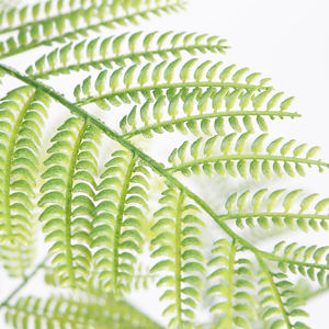 160cm Artificielle <span class=keywords><strong>Jacaranda</strong></span> Arbre Faux Plantes Bonsaï Arbre avec Tronc Réaliste pour la Décoration Intérieure - Product Image 2